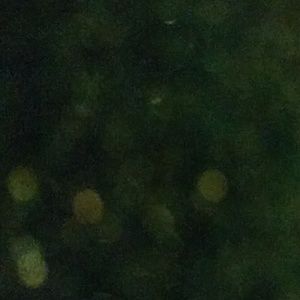 Meet your Posher, Patty